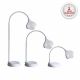 Daylight MAGnificent Table & Floor Lamp