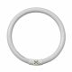 Daylight Basics 22W Energy Saving Circular Tube